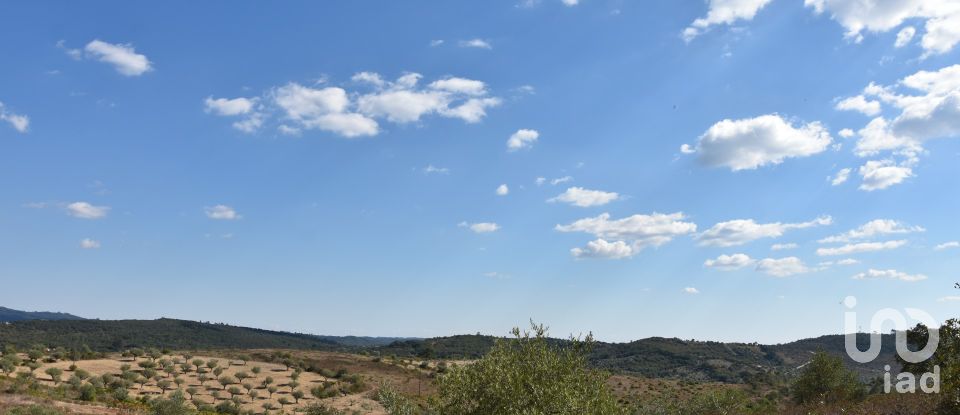 Land in Chãos of 33,440 m²