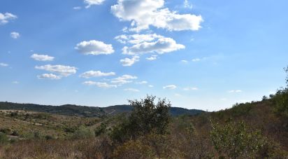 Land in Chãos of 33,440 m²