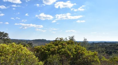 Land in Chãos of 33,440 m²