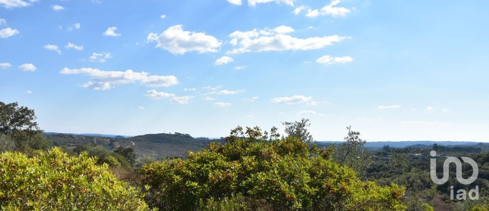 Land in Chãos of 33,440 m²