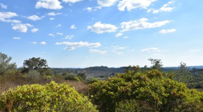 Land in Chãos of 33,440 m²