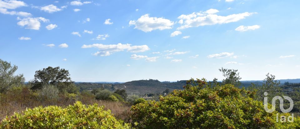 Land in Chãos of 33,440 m²