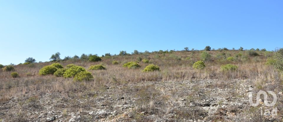 Land in Chãos of 33,440 m²