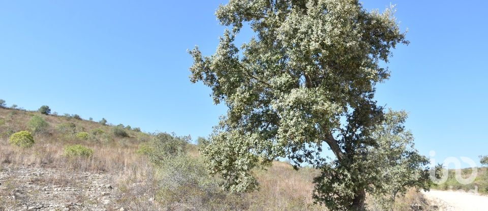 Land in Chãos of 33,440 m²