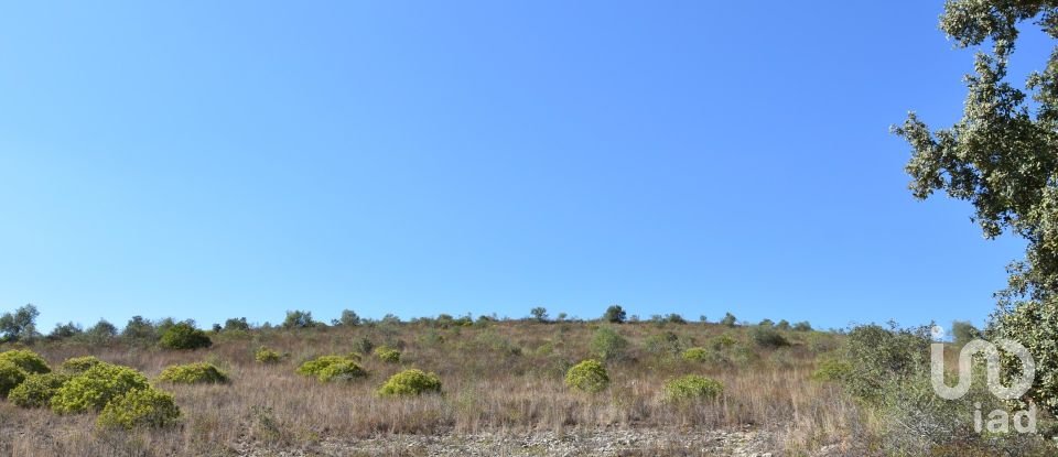 Land in Chãos of 33,440 m²