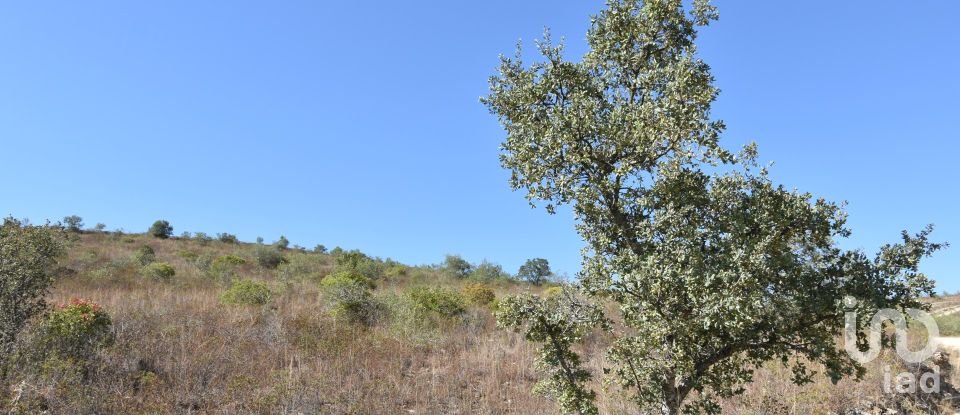 Land in Chãos of 33,440 m²