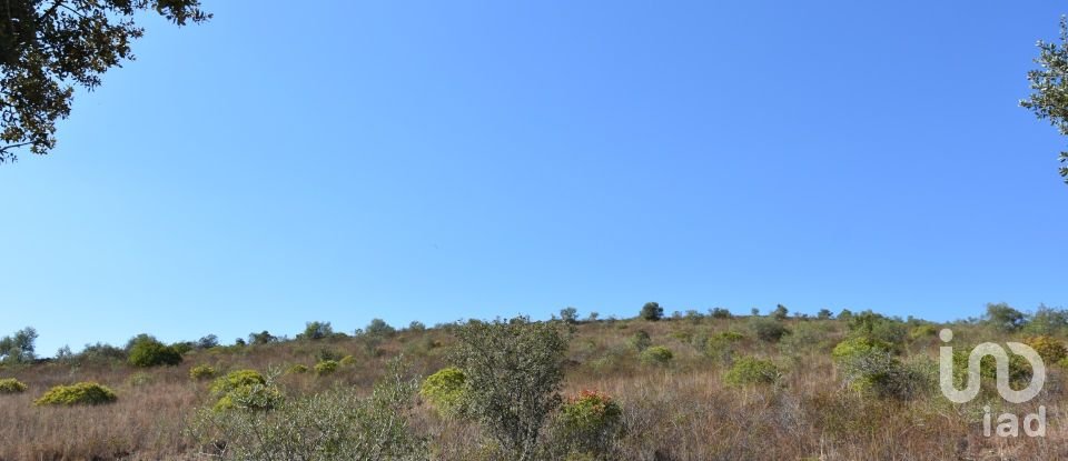Land in Chãos of 33,440 m²