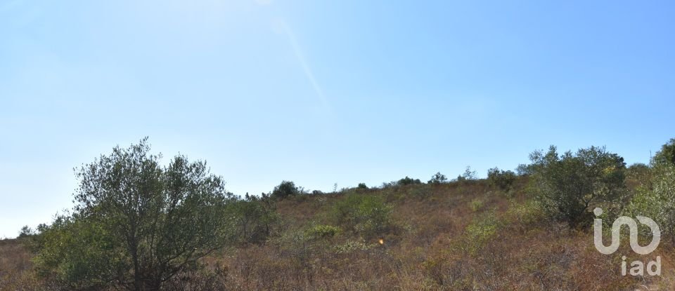 Land in Chãos of 33,440 m²