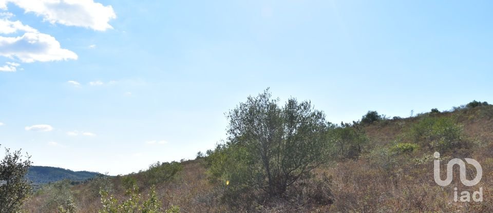 Land in Chãos of 33,440 m²