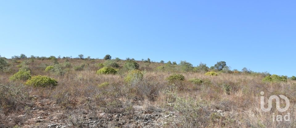 Land in Chãos of 33,440 m²