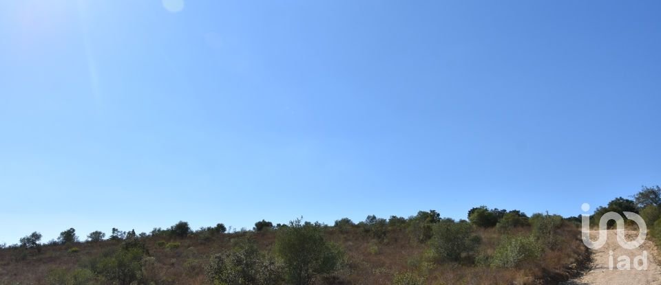 Land in Chãos of 33,440 m²