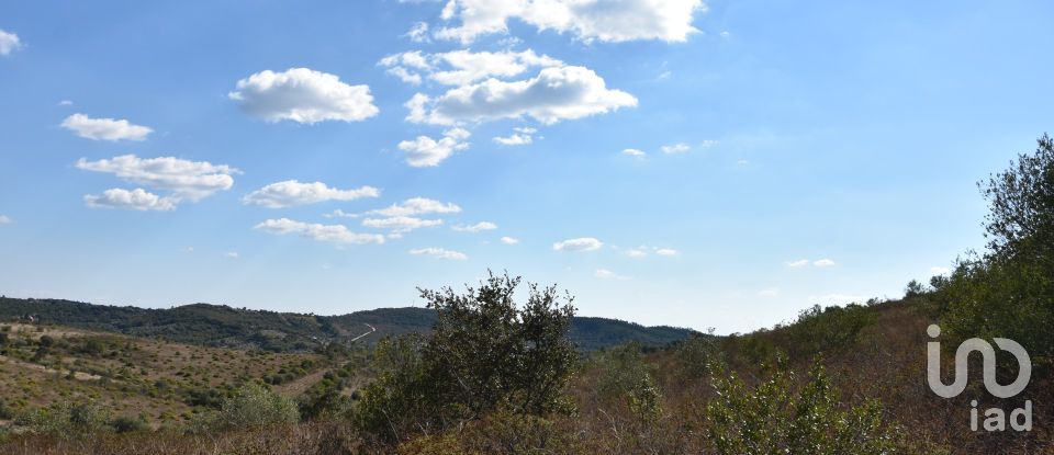 Land in Chãos of 33,440 m²