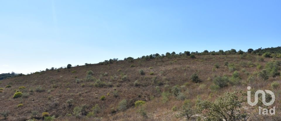 Land in Chãos of 33,440 m²