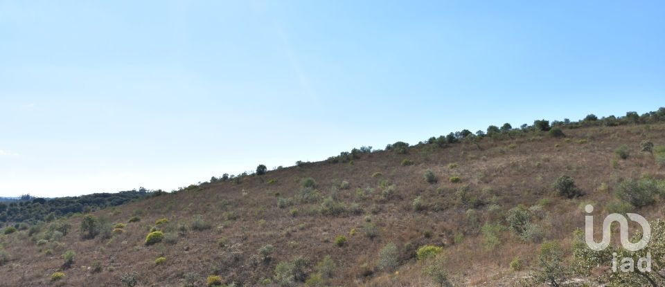 Land in Chãos of 33,440 m²