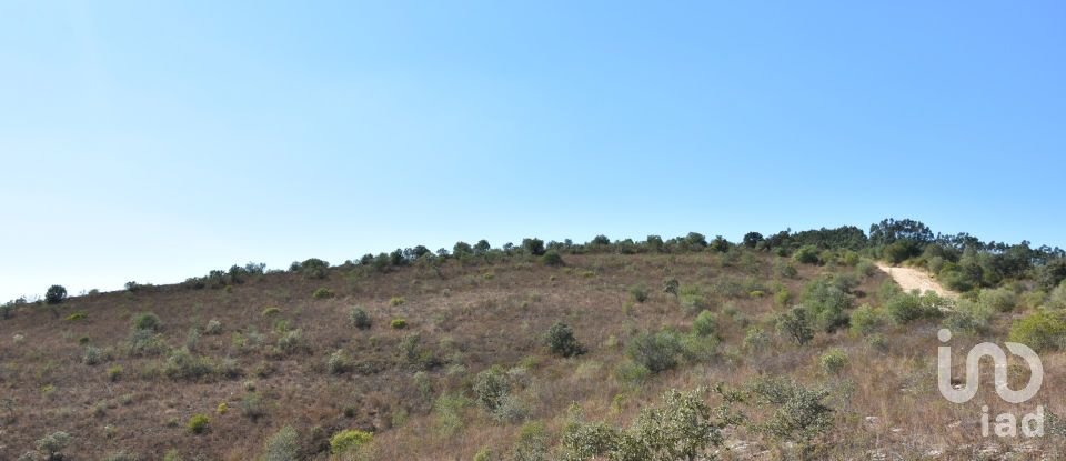 Land in Chãos of 33,440 m²