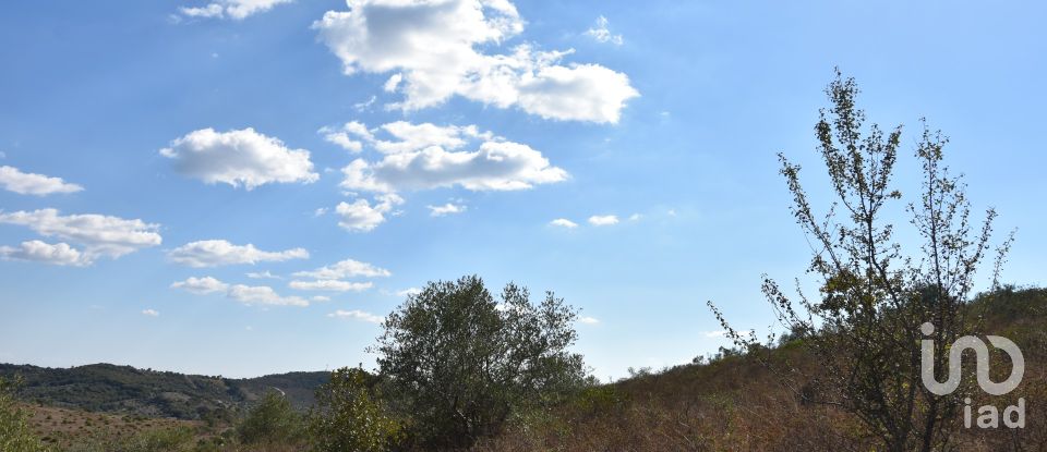 Land in Chãos of 33,440 m²