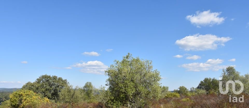 Land in Chãos of 33,440 m²