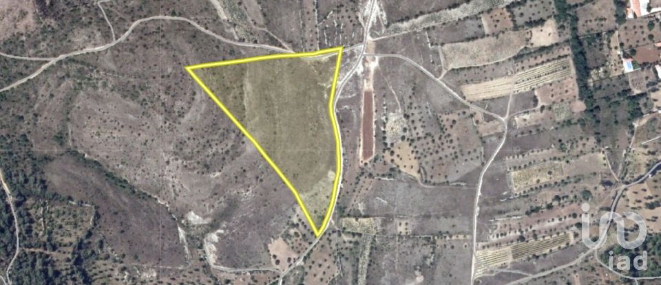 Land in Chãos of 33,440 m²