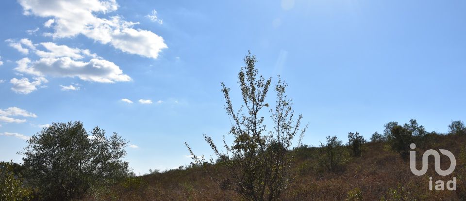 Land in Chãos of 33,440 m²