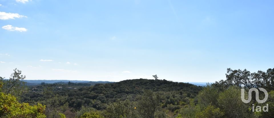 Land in Chãos of 33,440 m²