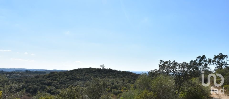 Land in Chãos of 33,440 m²