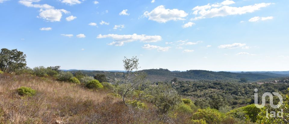 Land in Chãos of 33,440 m²