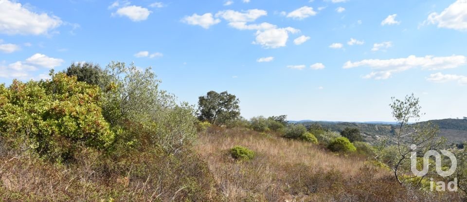 Land in Chãos of 33,440 m²