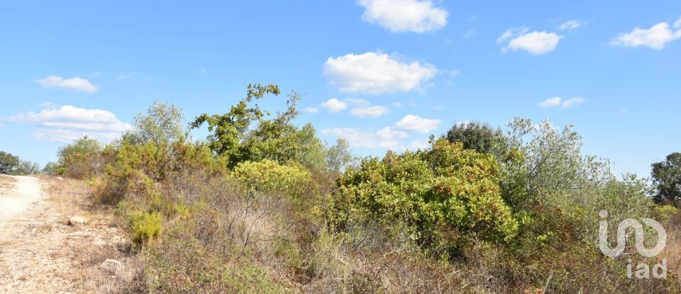 Land in Chãos of 33,440 m²