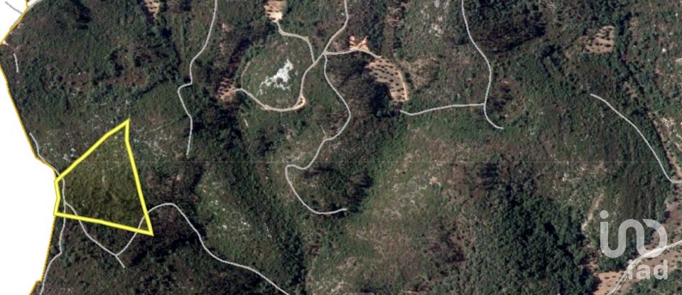 Land in Chãos of 14,600 m²