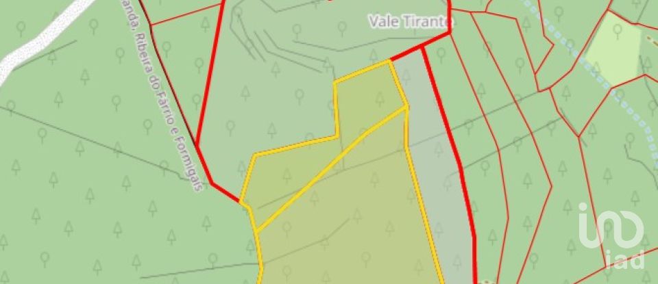 Land in Chãos of 14,600 m²