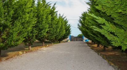 Farm T4 in Reguengo Grande of 285 m²