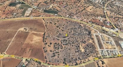 Terrain à bâtir à Tavira (Santa Maria e Santiago) de 237 120 m²