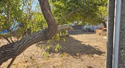 Terrain à Loulé (São Clemente) de 234 m²
