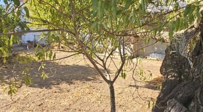 Terrain à Loulé (São Clemente) de 234 m²