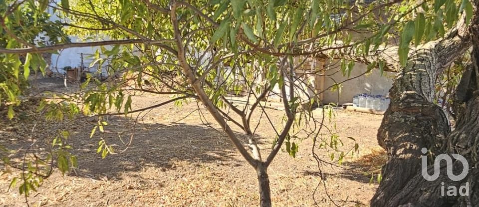 Terreno em Loulé (São Clemente) de 234 m²