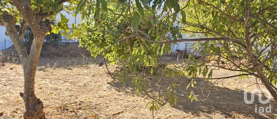 Terreno em Loulé (São Clemente) de 234 m²