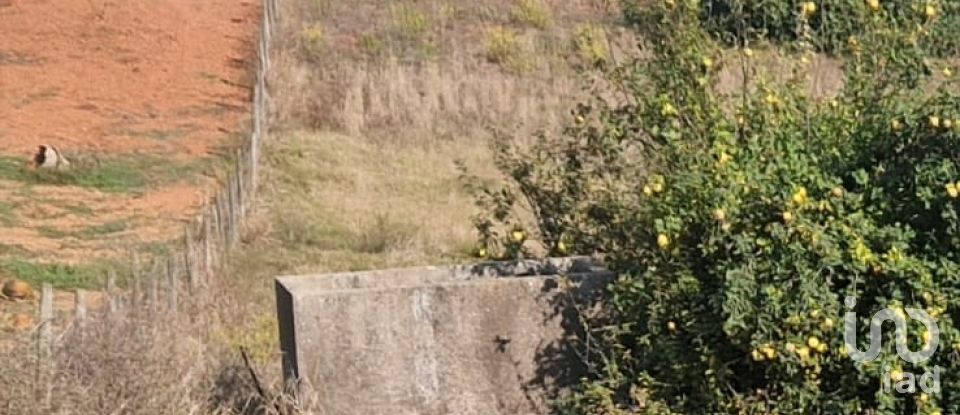 Terrain à Lamas e Cercal de 1 720 m²