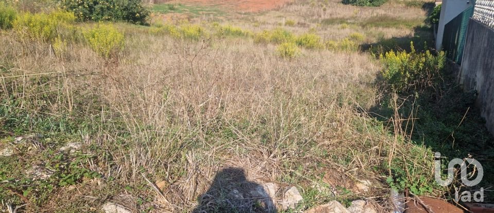 Terrain à Lamas e Cercal de 1 720 m²