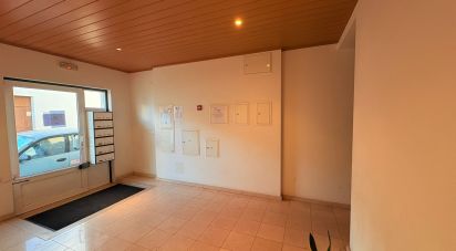 Appartement T2 à Almeirim de 163 m²