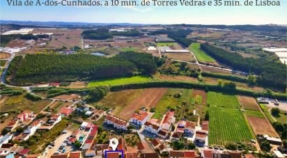 Gîte T4 à A dos Cunhados e Maceira de 284 m²