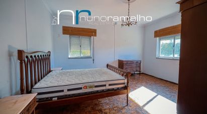 House T2 in Vila Franca das Naves e Feital of 140 m²