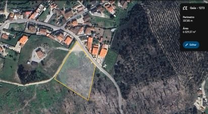 Terrain à bâtir à Vila Boa de Quires e Maureles de 6 520 m²