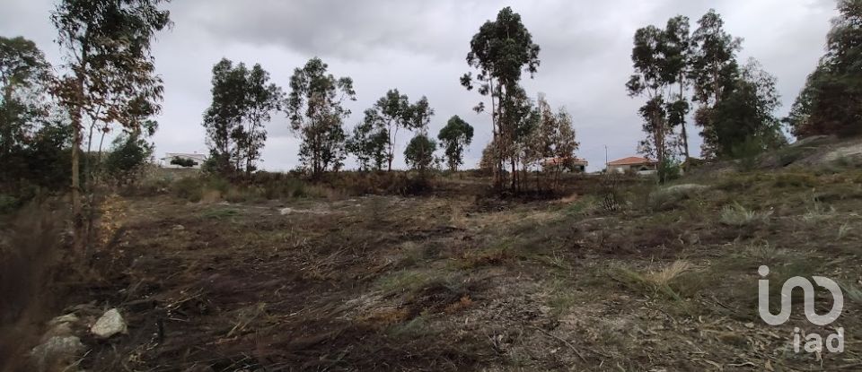 Building plot in Vila Boa de Quires e Maureles of 6,520 m²