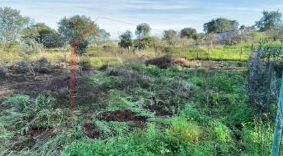 Terrain à Palmela de 332 m²