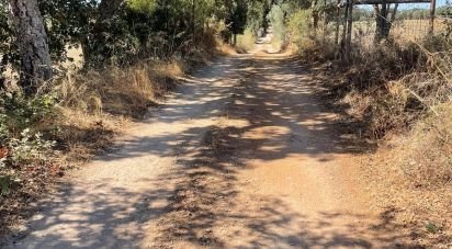 Terrain à Palmela de 332 m²