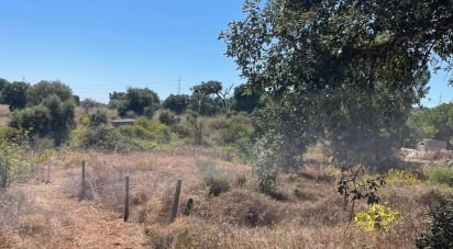 Terrain à Palmela de 332 m²