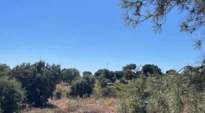 Terrain à Palmela de 332 m²