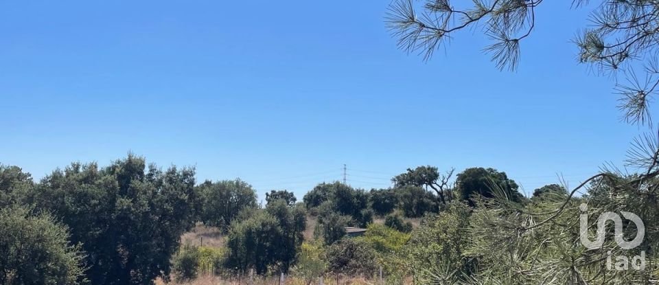 Terreno em Palmela de 332 m²