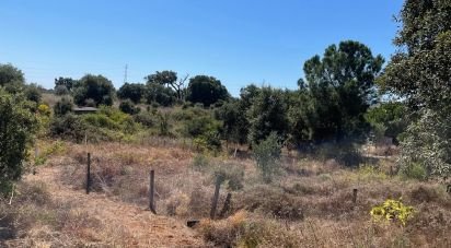 Terrain à Palmela de 332 m²