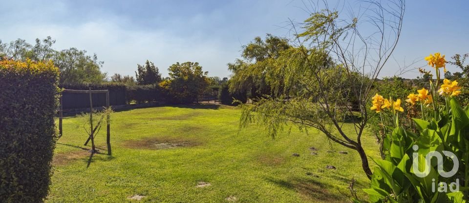 Moradia T4 em Pinhal Novo de 300 m²